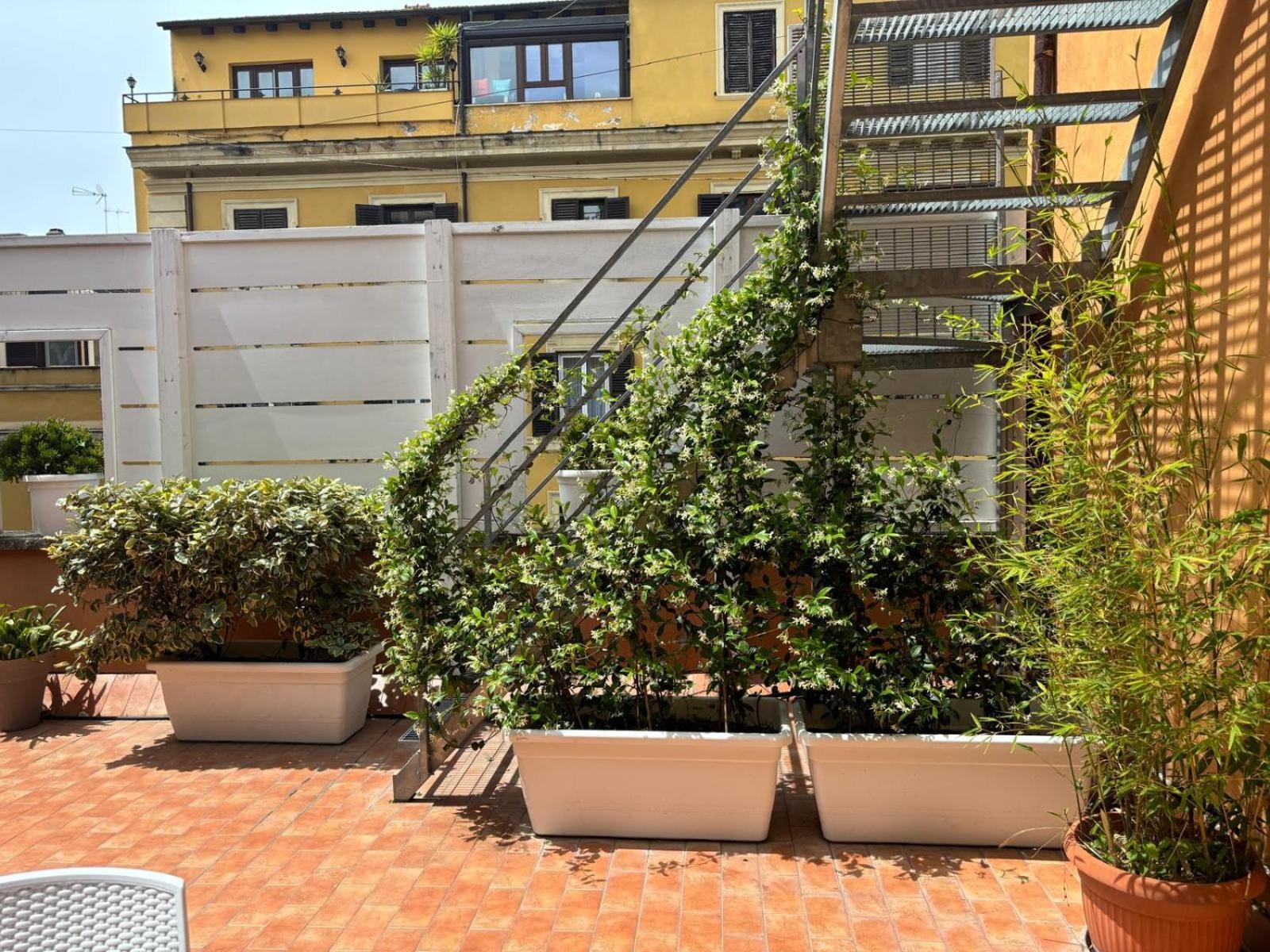 Rooftop St. Peter 로마 외부 사진